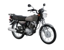 TMX 125 Alpha